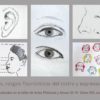Artes plásticas y Atrezo III-IV 3 proporciones rasgos fisonómicos del rostro y expresiones faciales copia